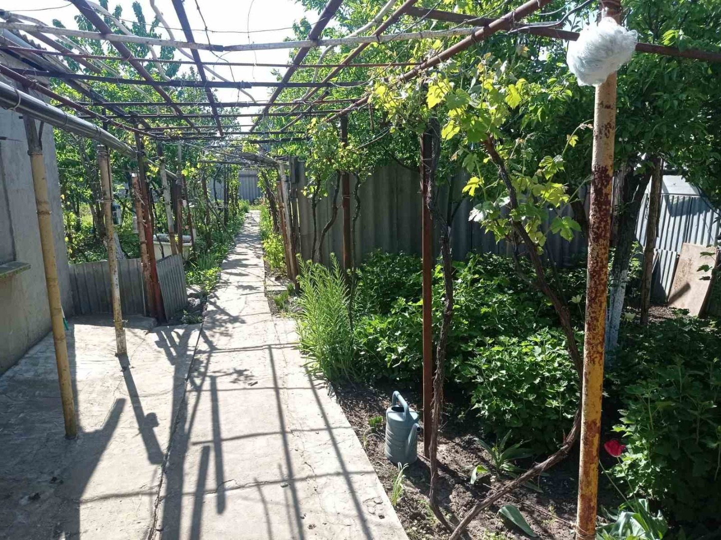 продажа дома номер H-174047 в Светлом, фото номер 8